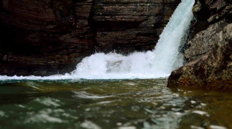 cale benefield pdizegrsk unsplash@x x